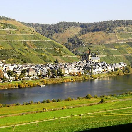 Weinstube Pension Moselbluemchen Zeltingen-Rachtig Exteriör bild