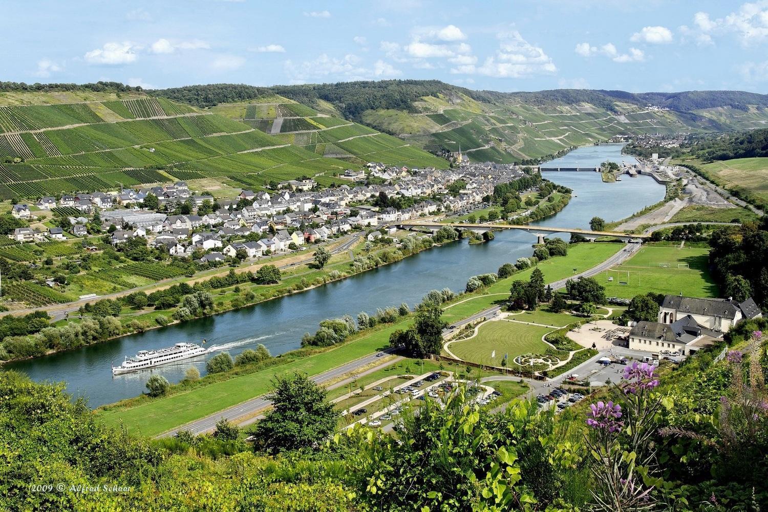 Weinstube Pension Moselbluemchen Zeltingen-Rachtig Exteriör bild