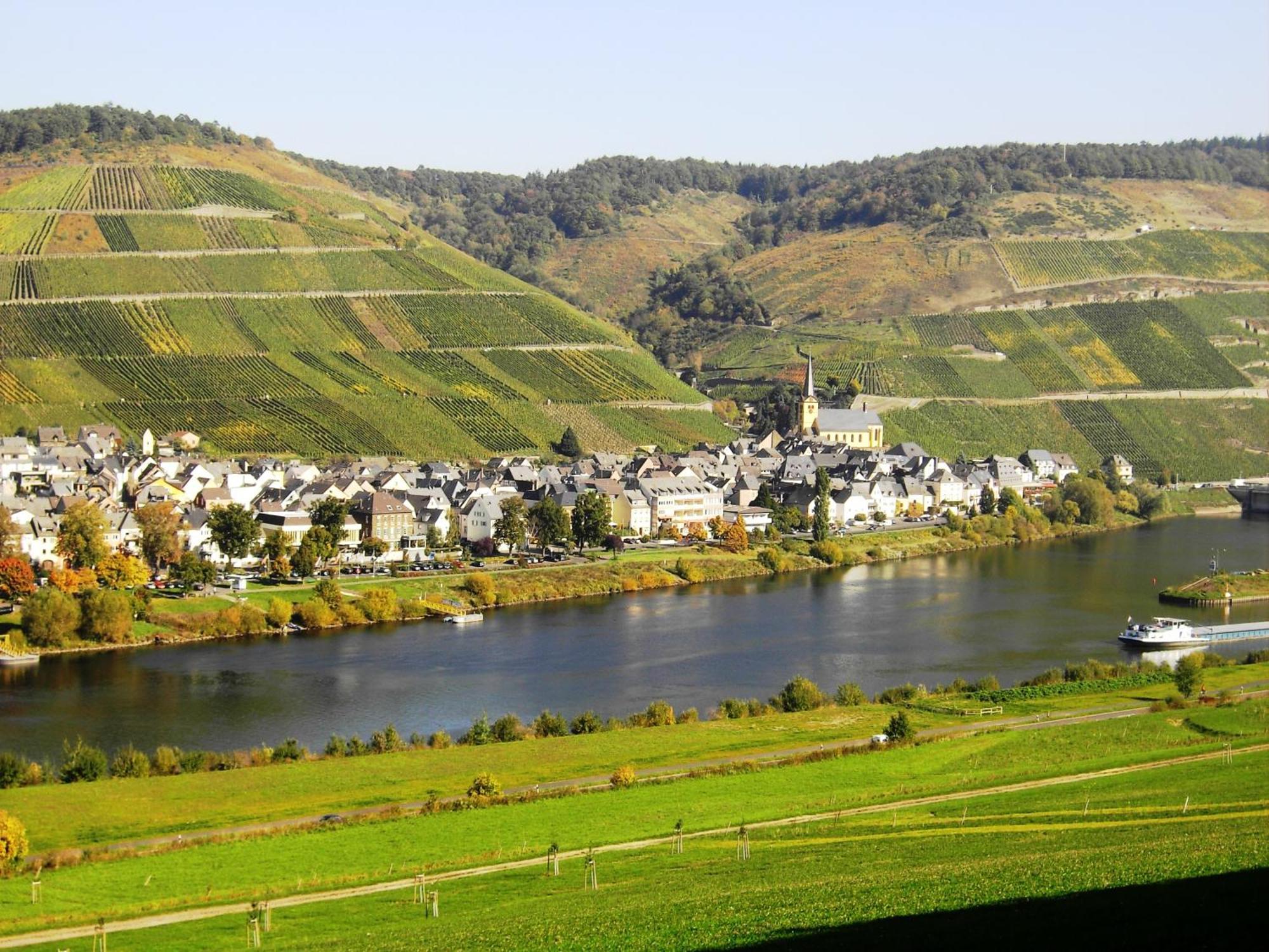 Weinstube Pension Moselbluemchen Zeltingen-Rachtig Exteriör bild