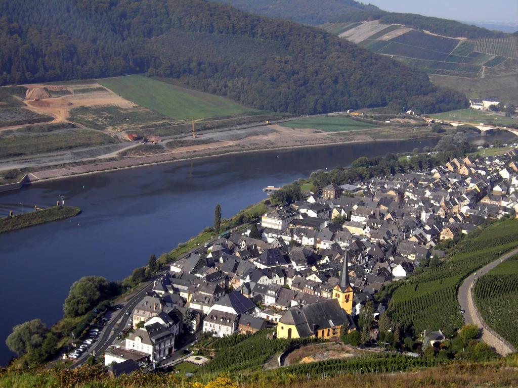 Weinstube Pension Moselbluemchen Zeltingen-Rachtig Exteriör bild