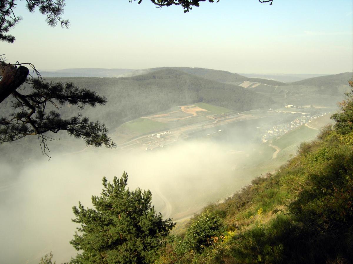 Weinstube Pension Moselbluemchen Zeltingen-Rachtig Exteriör bild